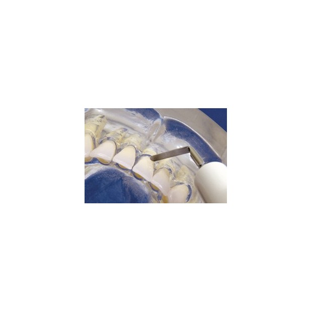 INSERT N°3 SATELEC DETARTREUR