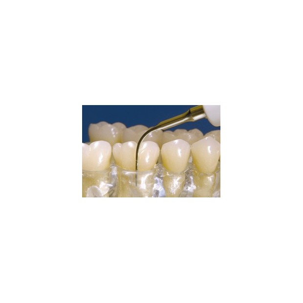 INSERT N° 10Z SATELEC DETARTREUR