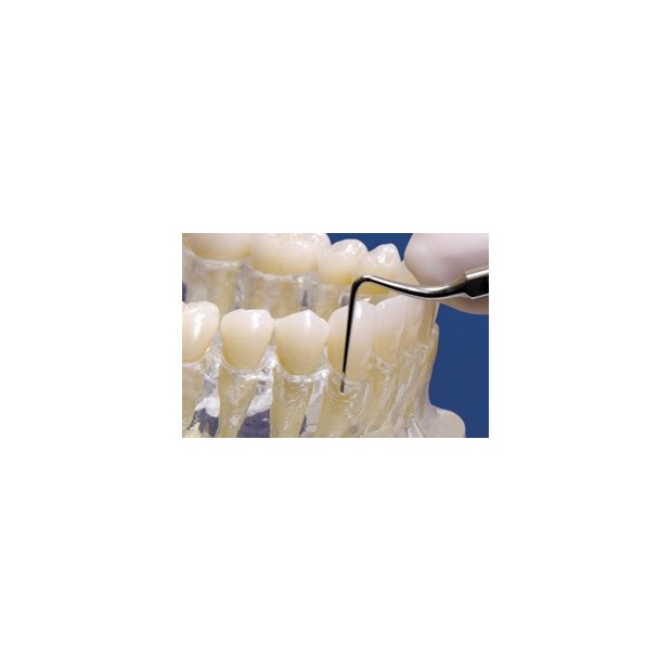 INSERT TK1-1S SATELEC BDR