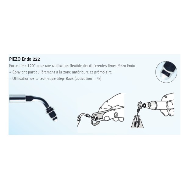 INSERT PORTE LIMES ENDO 222 POUR PIEZOLED KAVO