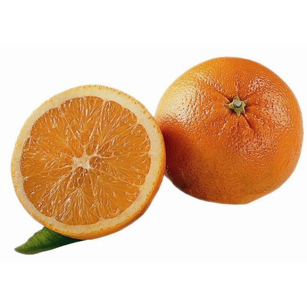 POUDRE DE POLISSAGE PROPHYFLEX ORANGE (80 DOSETTES de 15GR)