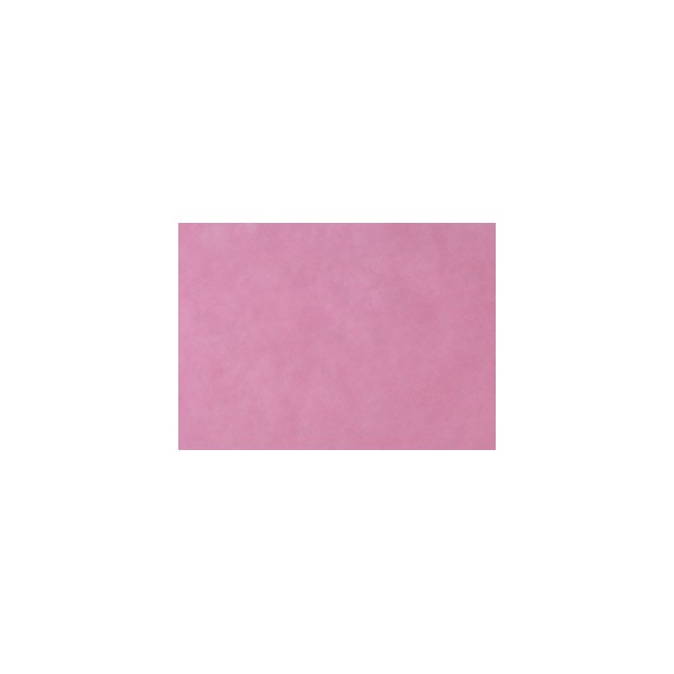 MONOART PAPIER TRAY COULEUR ROSE (BOITE DE 250 PIECES)