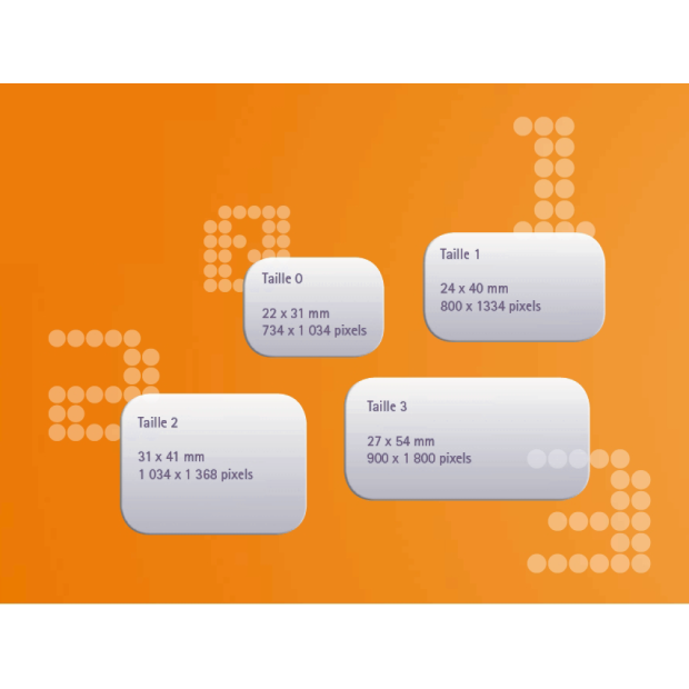 ECRAN A MEMOIRE ERLM TAILLE 2 STANDARD (x6)