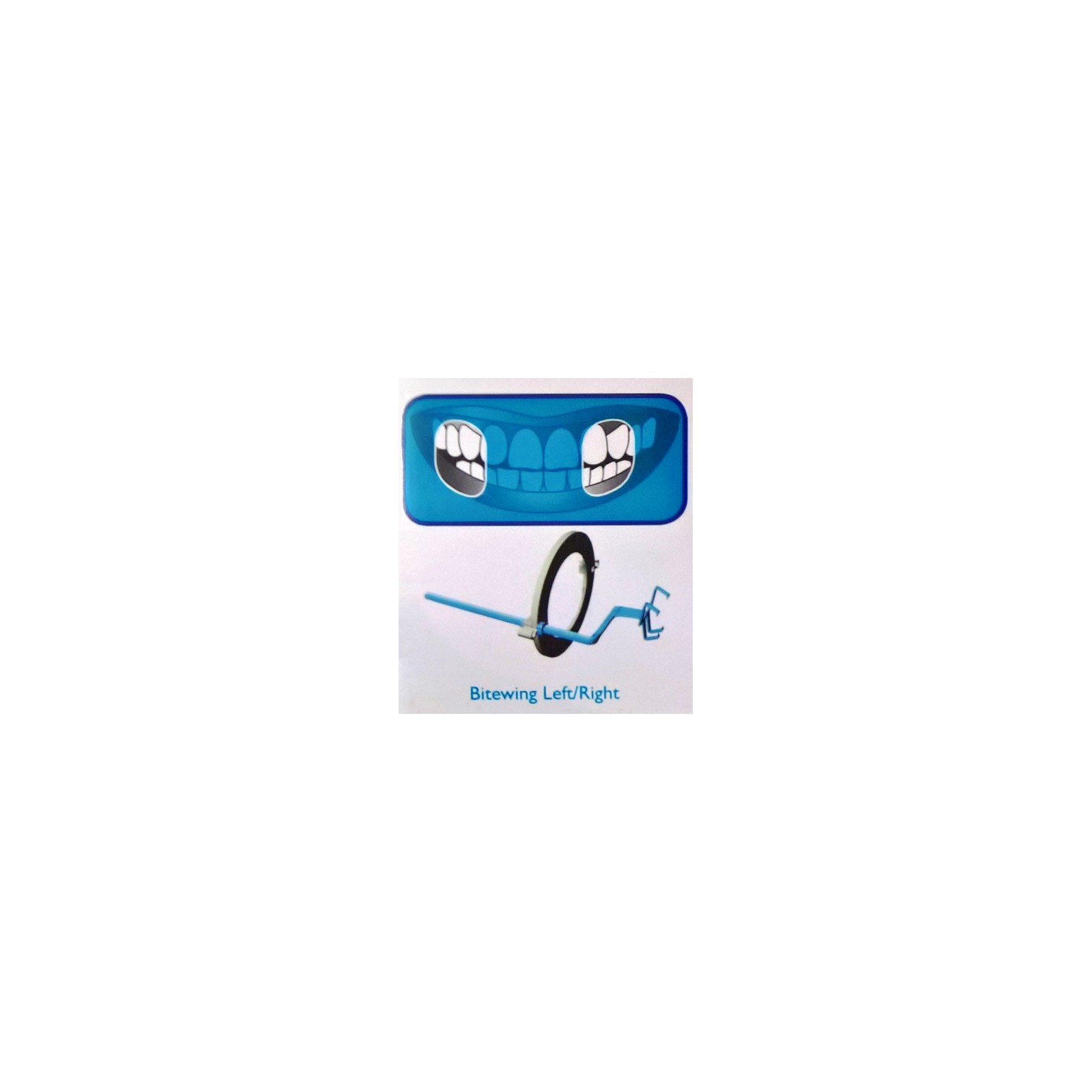 Kit de 10 angulateurs plastique Bitewing (bleu) Taille 1
