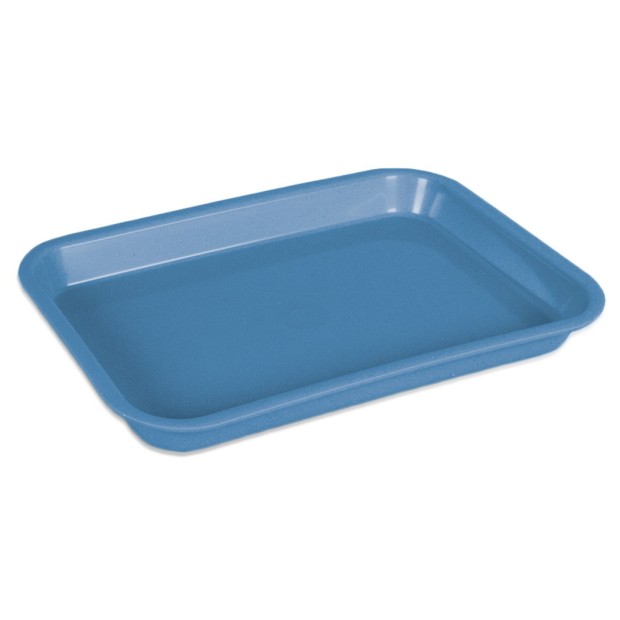 Mini Plateau (23,5 x 16,0 x 2,2 cm) Bleu