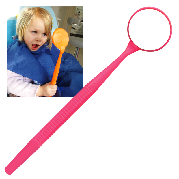 Miroir Mega - Neon rose