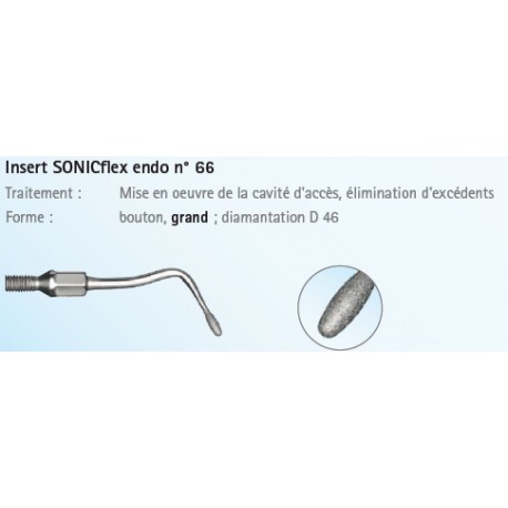 INSERT N°66 ENDO GRAND DIAMANTE